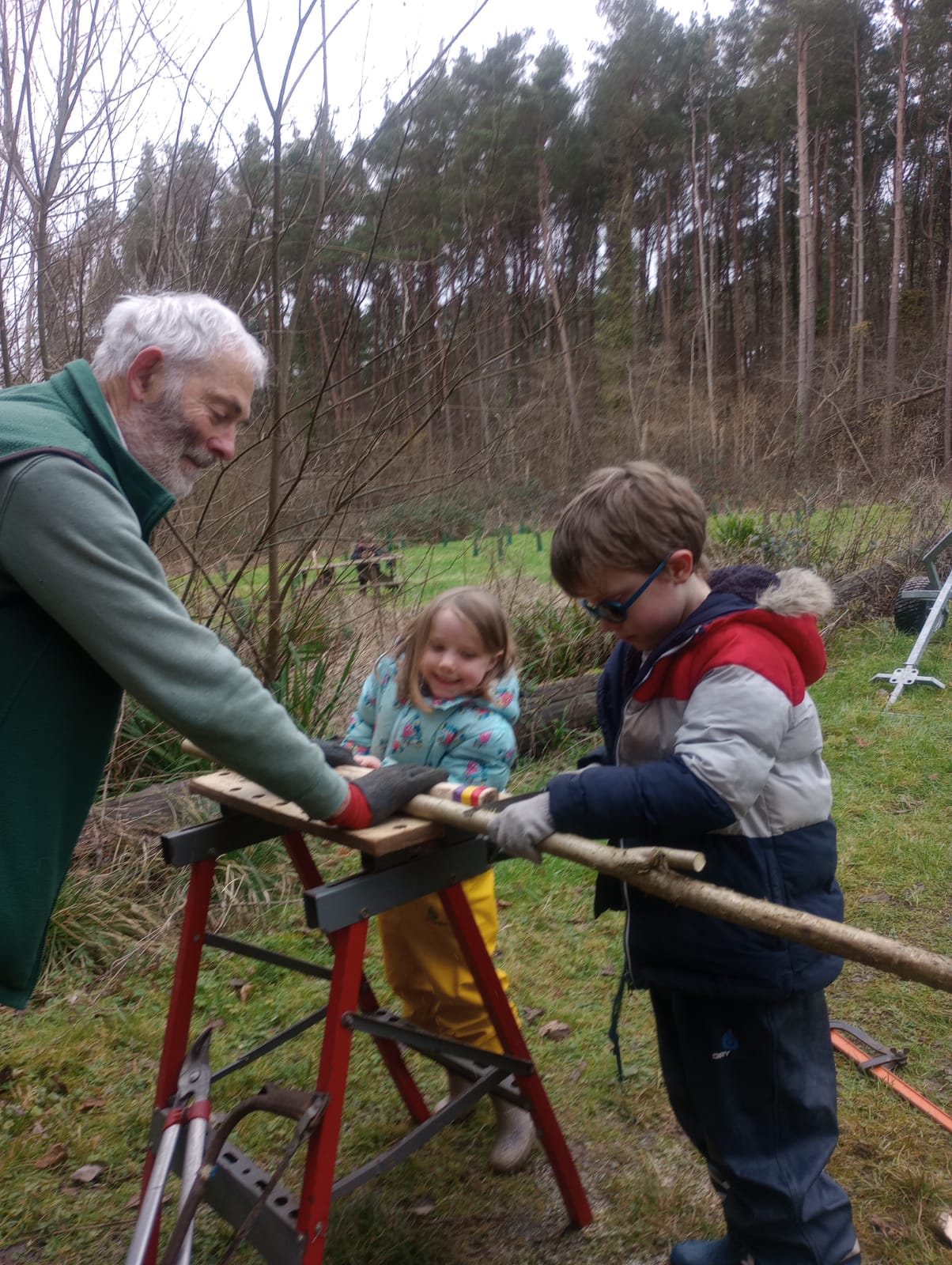 A Brighton Morris member stands in a woodland with two youngsters and a hazel stave on a frame. They are measuring the stave and cutting it to make it the correct length for Morris dancing.